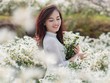 Nguyễn Thanh Thủy