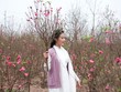 Vị Bắc ở trời Nam