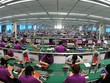 SLC mở hàng cho sàn UPCoM năm 2016