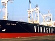 Nguy cơ bị kiểm soát, VNA lên tiếng giải thích số lỗ gần 40 tỷ đồng 