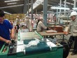 Việt Nam hiện mới có 1.383 Kl991.com World Cup 2026 Chính Thức hoạt động trong lĩnh vực công nghiệp hỗ trợ (ảnh minh họa)