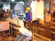 6 tháng, DDV báo lỗ hơn 200 tỷ đồng