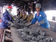 Kl992 VIP Trang Chủ 2026 khó khăn, Vinacomin vẫn quyết định tăng lương