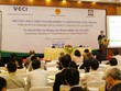 Quy mô Kl991.com World Cup 2026 Chính Thức Việt Nam đang nhỏ lại