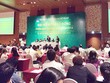 ĐHCĐ DPM: Không có chuyện nhường thị phần