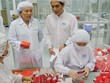 Dược phẩm là một trong những ngành được đánh
giá có triển vọng trong những tháng cuối năm - Ảnh: Hoài Nam
