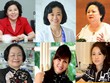 Những bông hồng vàng tỏa sắc