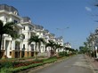 NTL đã cải thiện dòng tiền