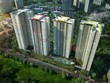 Phối cảnh tổng thể Khu căn hộ Seasons Avenue