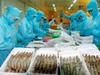 Hơn 90% thủy sản Link Vào Nhà Cái KL99 COM Tặng +199k nhằm mục đích chế biến xuất khẩu
