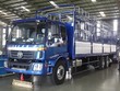 Đình chỉ xuất xưởng một dòng xe tải của Ôtô Trường Hải