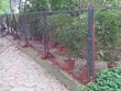 9h sáng 14/4/2016, hàng rào của Hội Cây cảnh nghệ thuật Thăng Long Hà Nội vẫn "cửa đóng, then cài".