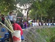 Những nghề kiếm bạc triệu "nhàn tênh" nhờ nắng nóng