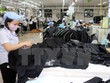 Kl994 nhà cái bóng đá world cup hàng may mặc xuất khẩu. (Ảnh: Trần Lê Lâm/TTXVN)