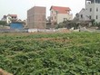 Ảnh Internet