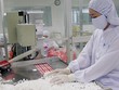 Sóng Kl99ok phiên bản mới nước ngoài đổ về các nhà máy thuốc