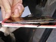 Chiếc Note 7 bốc cháy làm bỏng tay một cô bé 13 tuổi ở Mỹ.