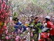 Bộ Nội vụ chọn phương án nghỉ Tết 7 ngày