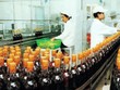Thương hiệu Vang Thăng Long một thời đang bị lấn lướt bởi những sản phẩm nhập ngoại.