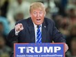 Trong con mắt của vị đại cử tri bang Texas, Tổng thống Mỹ đắc cử Donald Trump (ảnh) không đủ tiêu chuẩn để được bầu làm tổng thống