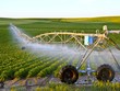 Việt Nam muốn học hỏi kinh nghiệm và ứng dụng công nghệ cao trong nông nghiệp của Israel