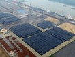 Kho nhôm khổng lồ 500.000 tấn tại Vũng Tàu.Ảnh: WSJ