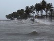 Giới Kl99ok phiên bản mới lo lắng trước siêu bão Irma