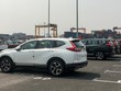 Lô CR-V về cảng hồi tháng 3. Ảnh:Lương Dũng.