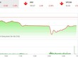 Phiên chiều 23/10: Lực cầu bắt đáy giúp VN-Index tránh khỏi phiên “thảm kịch”