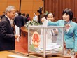 Các đại biểu Quốc hội tiến hành lấyphiếu tín nhiệm tại kỳ họp thứ 8, Quốc hội khoá XIII ngày 15/11/2014. Ảnh:QH.