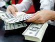 Mua bán ngoại tệ giữa các cá nhân được nhận định là hành vi không nghiêm trọng.