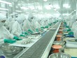 Thực phẩm Sao Ta (FMC): Quý III/2020 ghi nhận doanh thu 1.620,3 tỷ đồng, tăng 44,7%