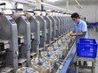 UOB duy trì dự báo tăng trưởng của Việt Nam ở mức 6,0% cho năm 2024