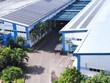 Louis Capital (TGG) chuẩn bị kế hoạch thâu tóm SMT