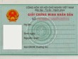 Ảnh Internet