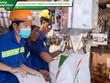 Phân bón Cà Mau (DCM): Hiệu quả từ hoạt động lõi