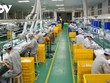 99Kl99 trực tiếp đá gà cần có chính sách khuyến khích, đảm bảo thực thi để xuất khẩu chuyển mạnh tăng về chất lượng trong thời gian tới.