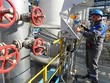 Trạm nén khí của một hệ thống đường ống dẫn khí ở Leningrad, Nga. (Ảnh: TASS/TTXVN)