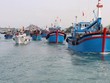 Nhằm gỡ “Thẻ vàng” khai thác thuỷ sản, Kl993 ưu đãi thưởng hấp dẫn duyệt Đề án Phòng, chống khai thác hải sản bất hợp pháp