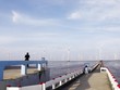 Việc xác định sản lượng điện bình quân năm của các nhà máy điện gió, điện mặt trời để xác định giá điện sẽ phức tạp hơn các dự án năng lượng truyền thống.