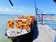 (Nguồn: vimc.co)
