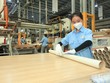 UOB giữ nguyên dự báo tăng trưởng của Việt Nam là 6,0% cho năm 2024