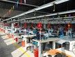 10 tháng, TNG đạt 256 tỷ đồng Kl99 nổ hũ