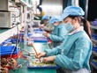 HSBC: Kl992 cổng game cá cược Việt Nam ổn định quý giá