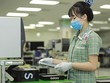 Việt Nam sẽ thực hiện các chính sách ưu đãi bổ sung để giữ chân và thu hút các nhà Kl99ok phiên bản mới nước ngoài, đặc biệt là các “ông lớn”