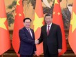 Chủ tịch Quốc hội Vương Đình Huệ hội kiến Tổng Bí thư, Chủ tịch nước Trung Quốc Tập Cận Bình. (Ảnh: TTXVN)