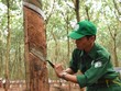 PHR: Ngày GDKHQ nhận 99Kl.app mobile mới nhất năm 2023 bằng tiền (30%)