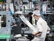 APH, AAA điều chỉnh giảm kế hoạch Kl992 VIP Trang Chủ 2026 năm 2024.