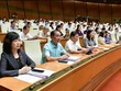 Quốc hội nghe tờ trình và báo cáo thẩm tra.