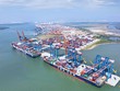 Kl99 nổ hũ nhóm vận tải biển, hàng không được dự báo tăng trưởng tích cực trong quý III/2025